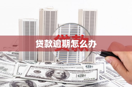 独山贷款逾期怎么办