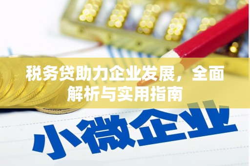 独山税务贷助力企业发展，全面解析与实用指南