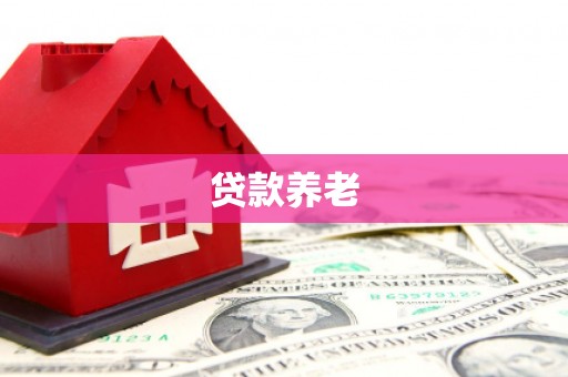 独山贷款养老