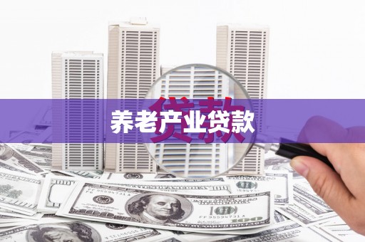独山养老产业贷款