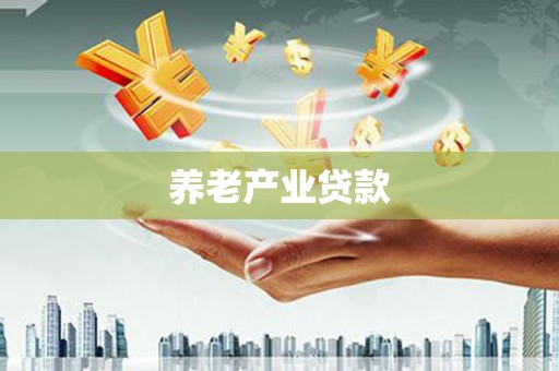 独山养老产业贷款