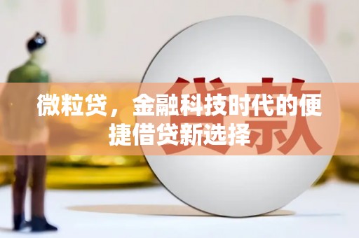 独山微粒贷，金融科技时代的便捷借贷新选择