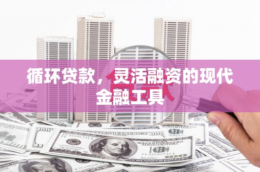 独山循环贷款，灵活融资的现代金融工具