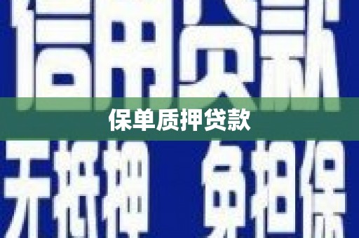 独山保单质押贷款