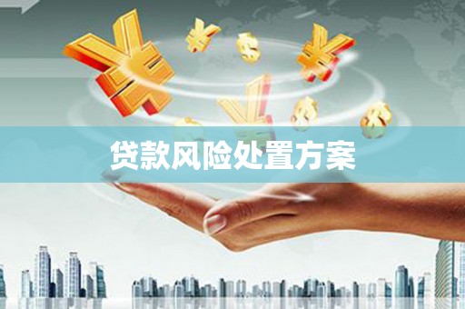 独山贷款风险处置方案