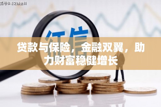 独山贷款与保险，金融双翼，助力财富稳健增长