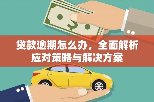 独山贷款逾期怎么办，全面解析应对策略与解决方案