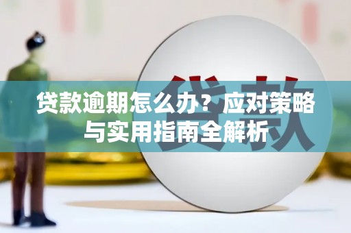 独山贷款逾期怎么办？应对策略与实用指南全解析