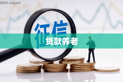 独山贷款养老