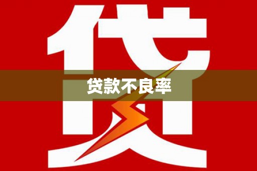 独山贷款不良率