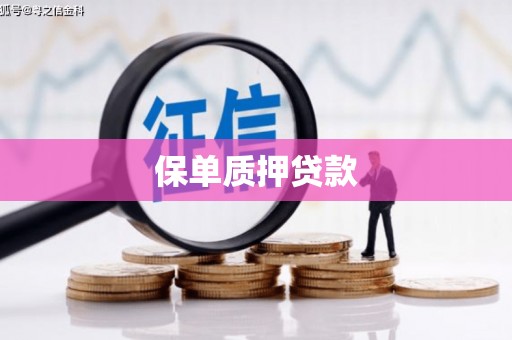 独山保单质押贷款