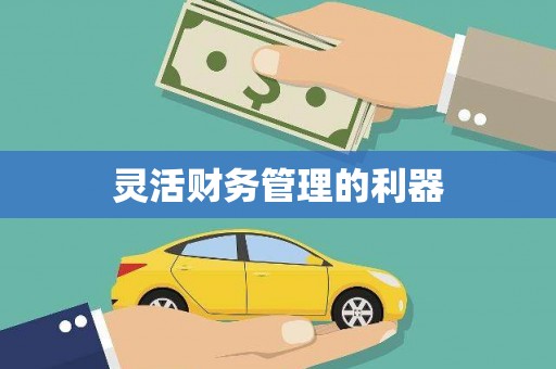 独山灵活财务管理的利器