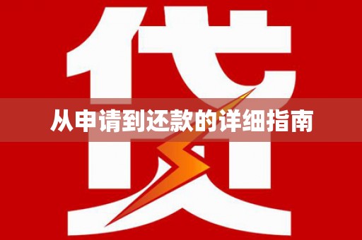 独山从申请到还款的详细指南