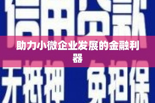 独山助力小微企业发展的金融利器
