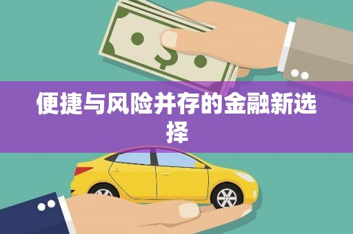 独山便捷与风险并存的金融新选择