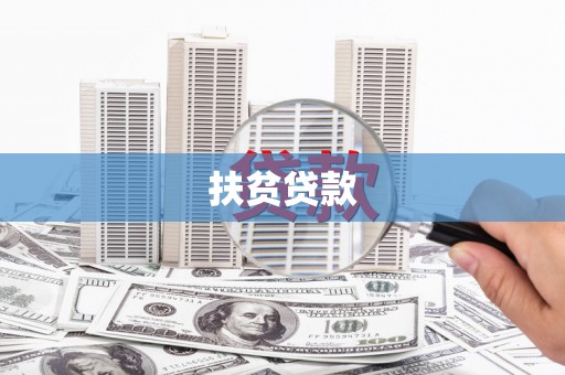 独山扶贫贷款