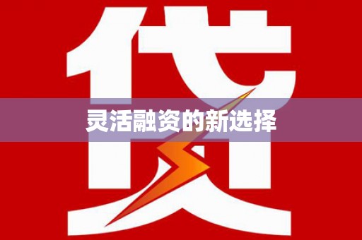 独山灵活融资的新选择