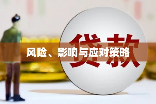 独山风险、影响与应对策略