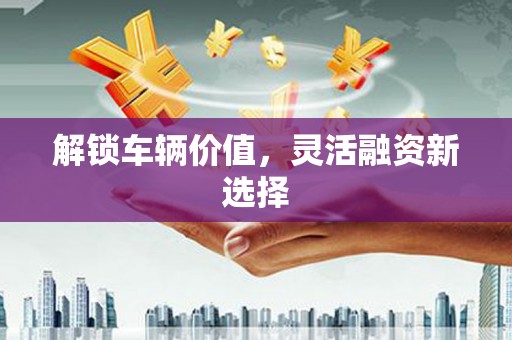 独山解锁车辆价值，灵活融资新选择