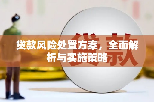 独山贷款风险处置方案，全面解析与实施策略