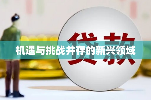 独山机遇与挑战并存的新兴领域