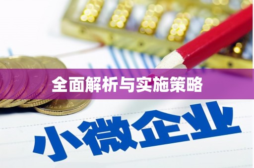 独山全面解析与实施策略