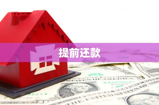独山提前还款