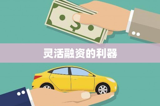 独山灵活融资的利器