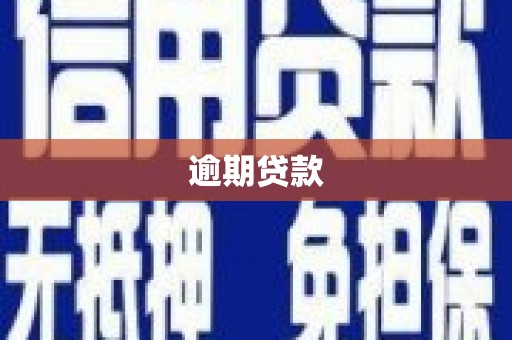 独山逾期贷款