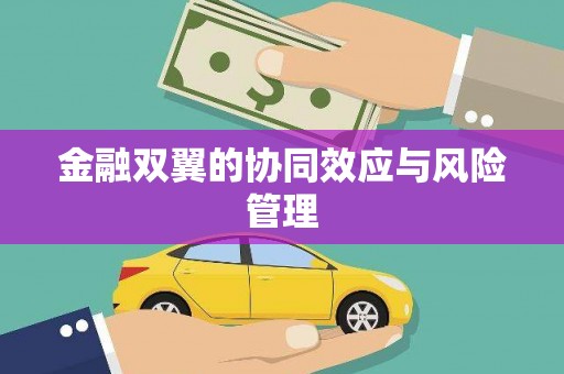独山金融双翼的协同效应与风险管理