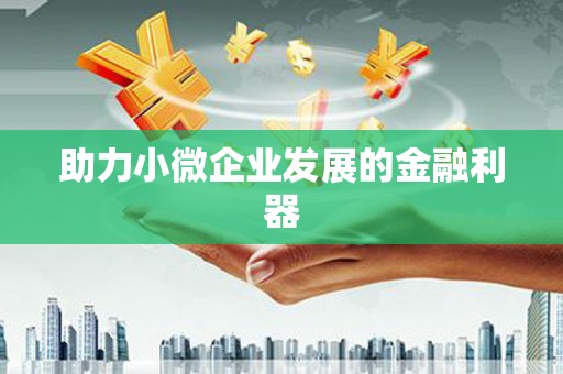 独山助力小微企业发展的金融利器