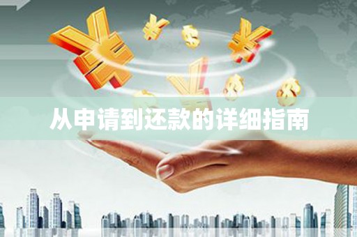 独山从申请到还款的详细指南
