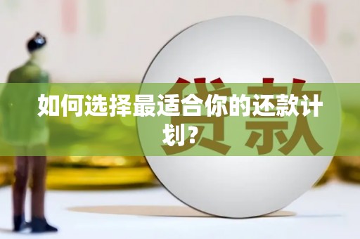 独山如何选择最适合你的还款计划？