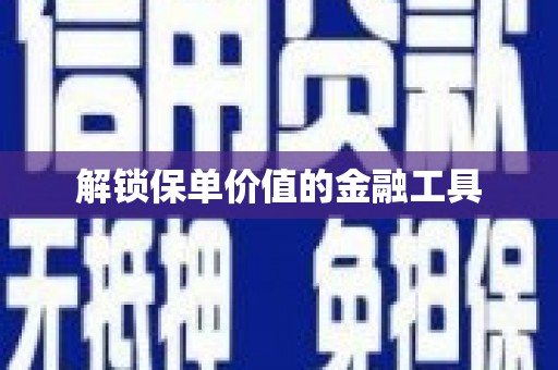 独山解锁保单价值的金融工具