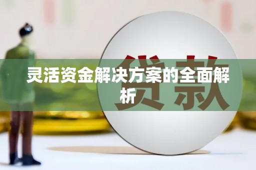 独山灵活资金解决方案的全面解析