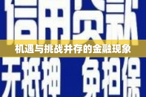 独山机遇与挑战并存的金融现象