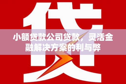 独山小额贷款公司贷款，灵活金融解决方案的利与弊