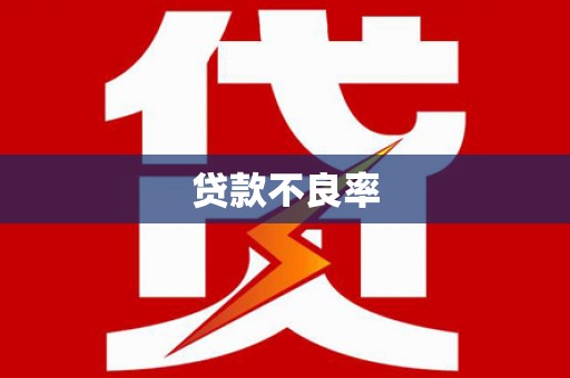 独山贷款不良率