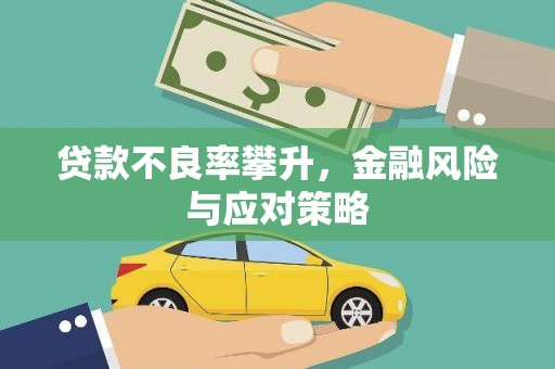 独山贷款不良率攀升，金融风险与应对策略