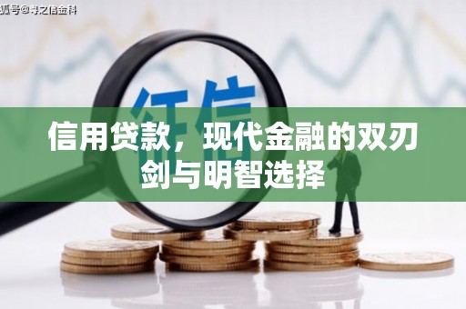 独山信用贷款，现代金融的双刃剑与明智选择