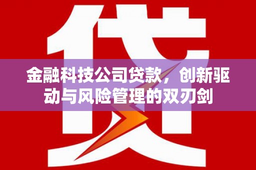 独山金融科技公司贷款，创新驱动与风险管理的双刃剑