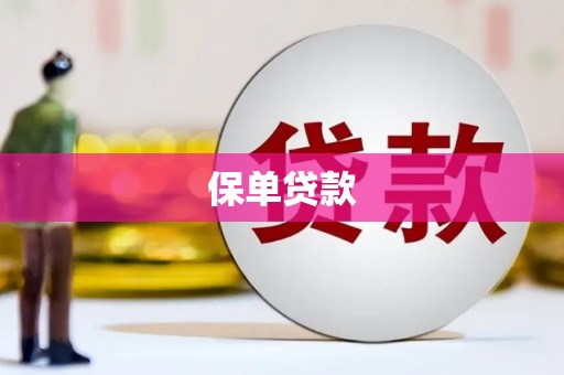 独山保单贷款
